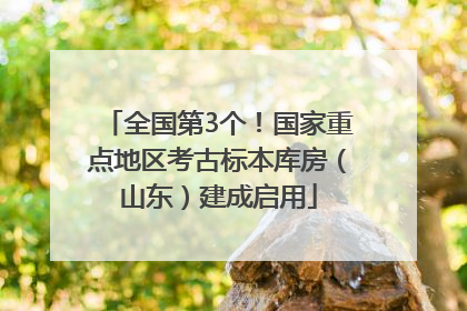 全国第3个！国家重点地区考古标本库房（山东）建成启用